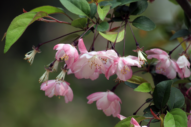 2017-04-08_122054 china-2017.jpg - Souzhou